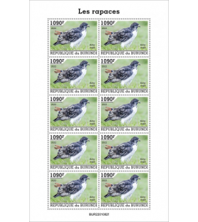 BURUNDI - 2022 - Uccelli...