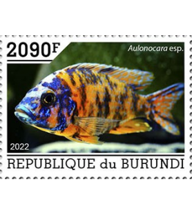 BURUNDI - 2022 - Ribe II -...