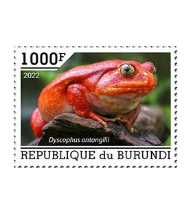 BURUNDI - 2022 - Žaba -...