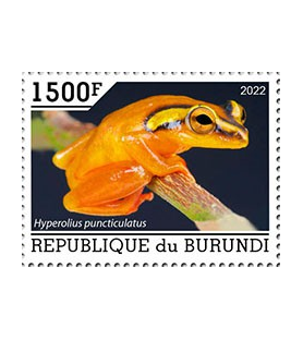 BURUNDI - 2022 - Žaba -...