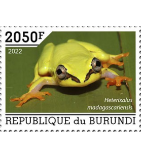 BURUNDI - 2022 - Žaba -...