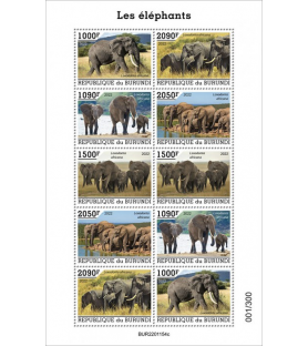 BURUNDI - 2022 - Elephants...