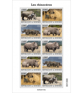 BURUNDI - 2022 - Rhinos -...
