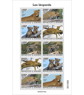 BURUNDI - 2022 - Leopardo -...