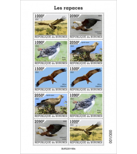 BURUNDI - 2022 - Uccelli...