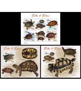 LIBERIA - 2022 - Tartarughe...