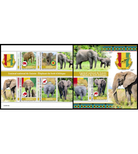 GUINEA - 2022 - Elephants -...