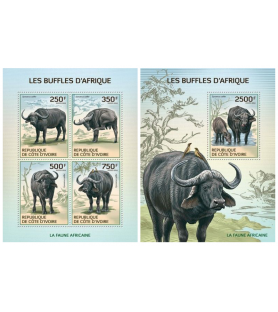 SLONOKOŠČENA OBALA - 2014 -...