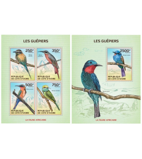 SLONOKOŠČENA OBALA - 2014 -...