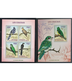 SLONOKOŠČENA OBALA - 2014 -...