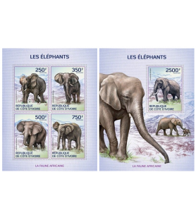 SLONOKOŠČENA OBALA - 2014 -...