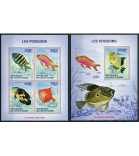 SLONOKOŠČENA OBALA - 2014 -...