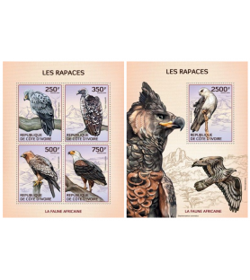 SLONOKOŠČENA OBALA - 2014 -...