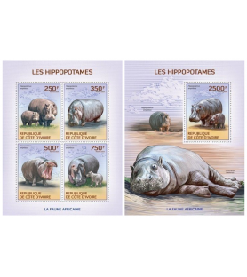 IVORY COAST - 2014 - Hippos...