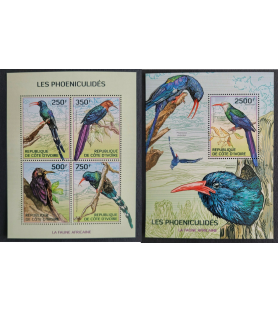 SLONOKOŠČENA OBALA - 2014 -...