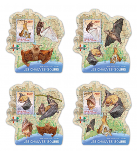 SLONOKOŠČENA OBALA - 2014 -...