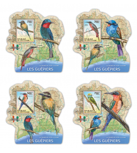 SLONOKOŠČENA OBALA - 2014 -...