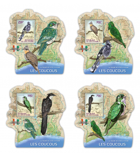 SLONOKOŠČENA OBALA - 2014 -...