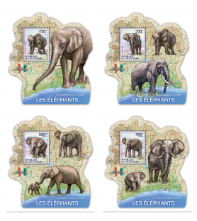 SLONOKOŠČENA OBALA - 2014 -...