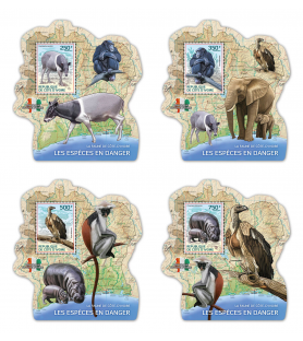 SLONOKOŠČENA OBALA - 2014 -...