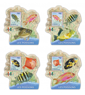 SLONOKOŠČENA OBALA - 2014 -...