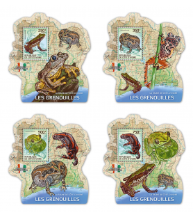 SLONOKOŠČENA OBALA - 2014 -...