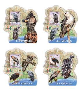 SLONOKOŠČENA OBALA - 2014 -...