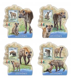 SLONOKOŠČENA OBALA - 2014 -...