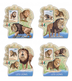 SLONOKOŠČENA OBALA - 2014 -...