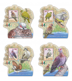 SLONOKOŠČENA OBALA - 2014 -...