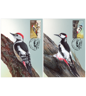 KIRGIZIJA EXPRESS POST -...