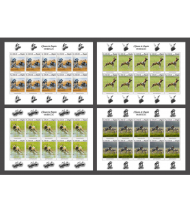 ANGOLA - 2019 - Afriški...