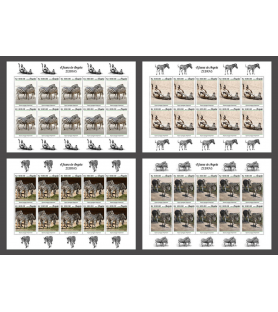 ANGOLA - 2019 - Zebras - 4x...