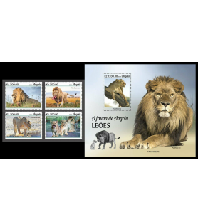 ANGOLA - 2019 - Levi -...