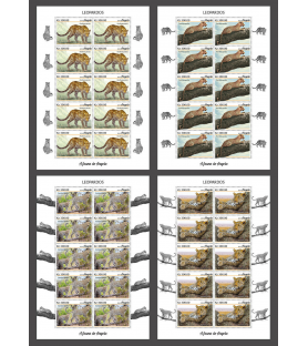 ANGOLA - 2019 - Leopards -...