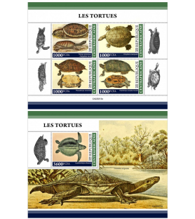 REPUBBLICA CENTRAFRICANA -...