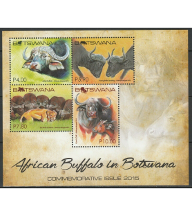 BOTSWANA - 2015 - Bufalo -...