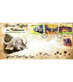 BOTSWANA - 2015 - Bufalo -...