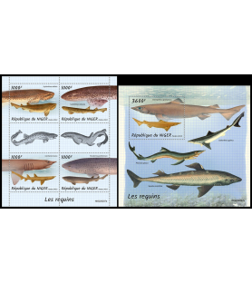 NIGER - 2022 - Sharks -...