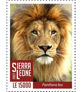 SIERRA LEONE - 2022 - Lion...