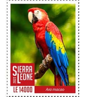 SIERRA LEONE - 2022 - Red...
