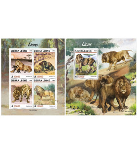 SIERRA LEONE - 2022 - Lions...