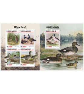 SIERRA LEONE - 2022 -...