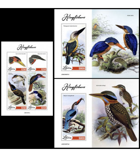LIBERIA - 2022 - Kingfisher...