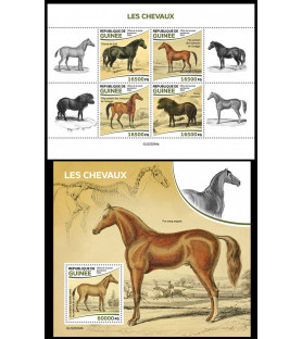 GUINEA - 2022 - Cavalli -...
