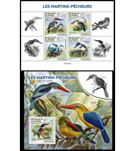 GUINEA - 2022 - Kingfisher...