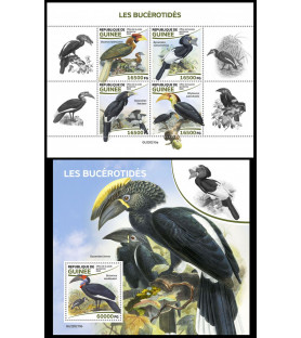 GUINEA - 2022 - Hornbills -...