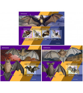 MOZAMBIK - 2022 - Netopirji...