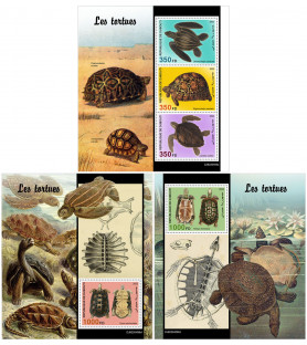GIBUTI - 2022 - Tartarughe...
