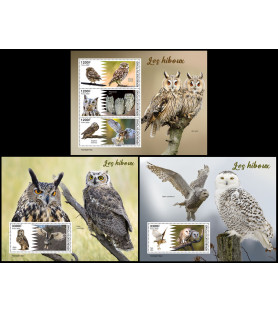 CHAD - 2022 - Owls -...